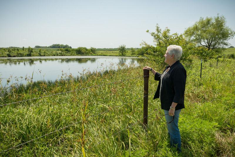Administrator McCarthy looks at an upland pond