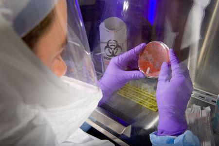 Photo of researchers holding up a petri dish