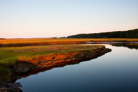 Photo of river and riverbank