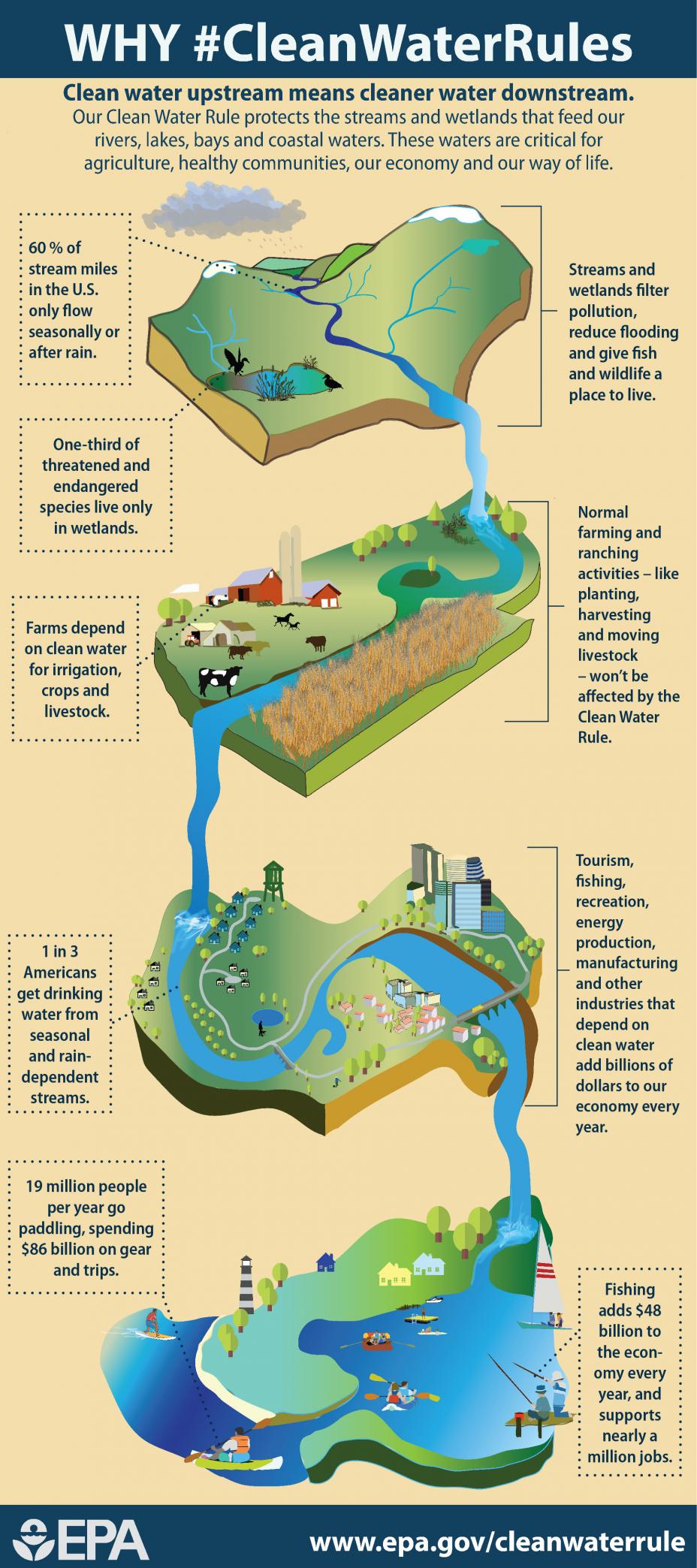 An infographic detailing how the Clean Water Rule protects the streams and wetlands that feed our rivers, lakes, bays, and coastal waters. The importance of these waters for different stakeholders is emphasized.