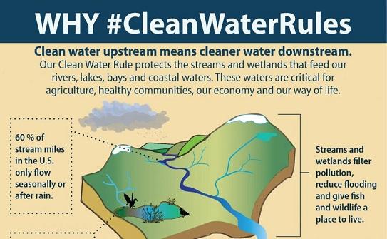 An infographic detailing how the Clean Water Rule protects the streams and wetlands that feed our rivers, lakes, bays, and coastal waters. The importance of these waters for different stakeholders is emphasized.