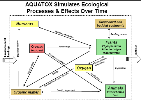 Image of conceptual model of the AQUATOX model