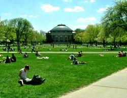 Students on a quad