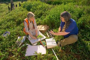 Two EPA researchers collecting wetlands samples