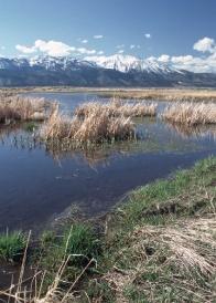 A photo of a clear lake.