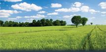 pristine fields and blue skies