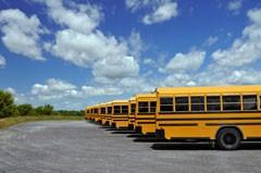 School buses