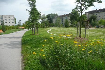 Green infrastructure on a campus