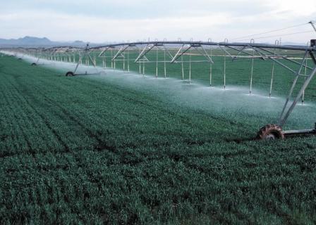 Irrigation on a farm