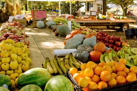 Fresh food in bins at a farmers market