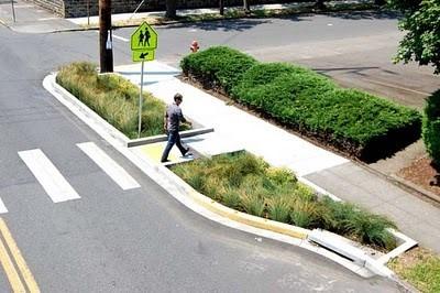 Image of green infrastructure near a road