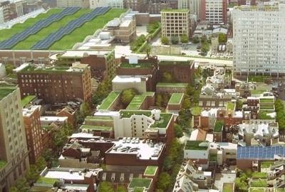 Cityscape with green roofs
