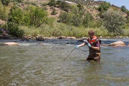 Water quality testing