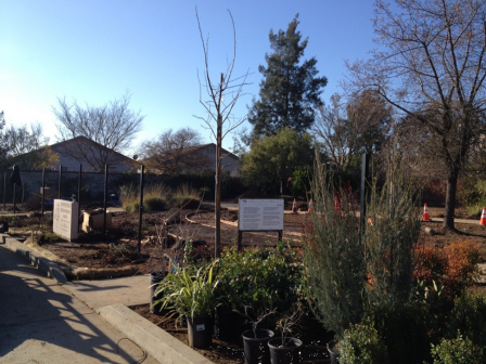 New plants and additional fence posts at Donna Dean Garden