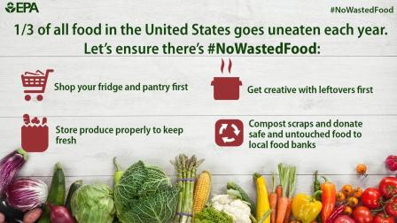 Food Waste Graphic