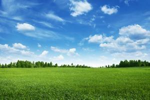 green field and blue skies