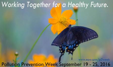 Photo of a butterfly on a flower with text Working Towards a Healthy Future. 