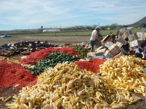 piles of food waste