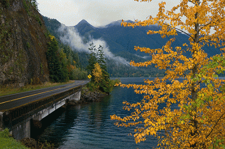 nature scene in autumn