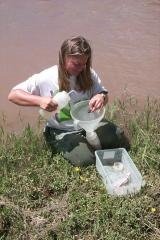 periphyton sampling