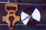 photo showing a Secchi disk