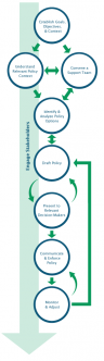 Adopt a Policy Flowchart