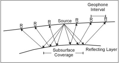 Multichannel recordings for seismic reflection.