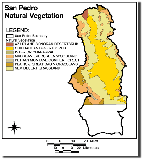 Large Image of San Pedro Natural Vegetation
