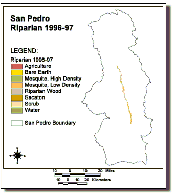 Image of San Pedro Riparian TMS 1996-1997