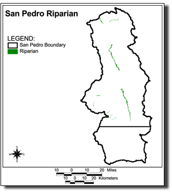 Image of San Pedro Riparian
