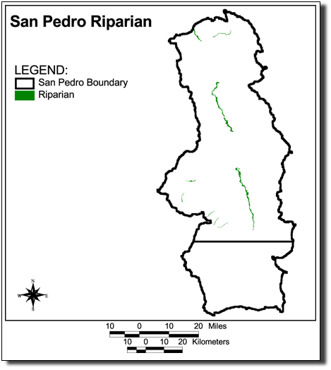 Large Image of San Pedro Riparian