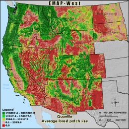 Metric Map (favgsize), Quantile