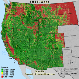 Metric Map (n_index), Quantile