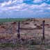 View Down Fenceline: Wheat / Alfalfa