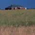 Grassland (Possible CRP) and Rural House