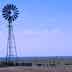 Windmill, Grassland and Livestock