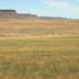 Grassland/rangeland on flat lowlands