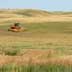 Grassland/rangeland. Field being hayed