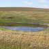 Grassland/rangeland and pond