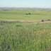 Strip crops. Grassland/rangeland