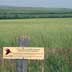 Upland Gamebird Habitat Enhancement Project. Managed grasslands