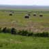 Mixed agriculture and grassland