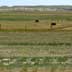 Farmstead with grassland/rangeland