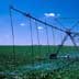 Centre Pivot and Soy Beans
