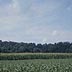 Sloping corn field, forest, just off of US-30, east of York, PA