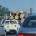 Hardwood logs moving through Charlottesville, VA