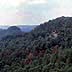Daniel Boone National Forest Overlook