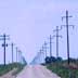 Power Lines Along Road