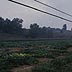 Melons, corn, overgrazed pasture, house