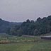 Overview, tobacco, weedy field, and barn